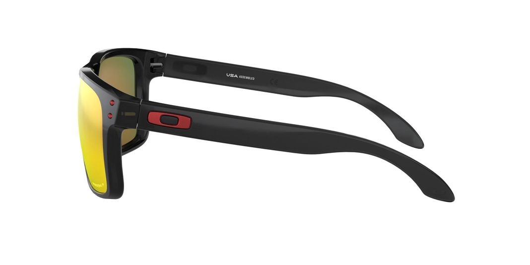 Oakley Holbrook XL Polarizado y Prizm-2