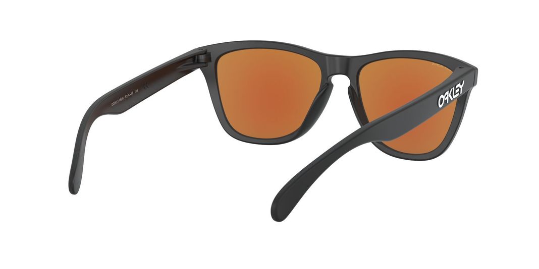 Oakley Frogskins Prizm-6