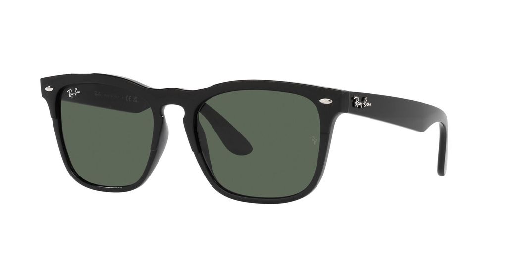 Ray-Ban Steve RB4487 -0
