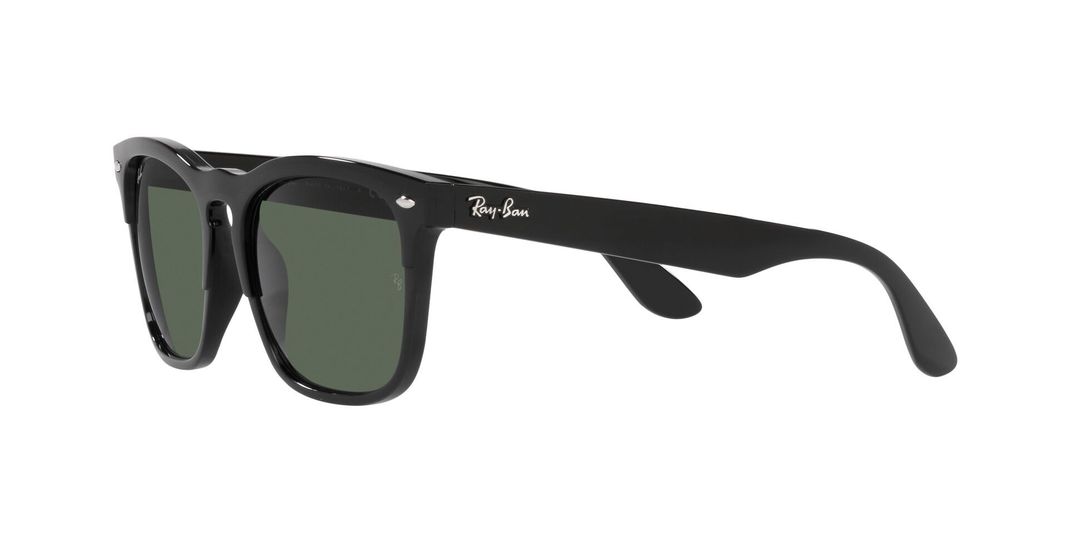 Ray-Ban Steve RB4487 -1