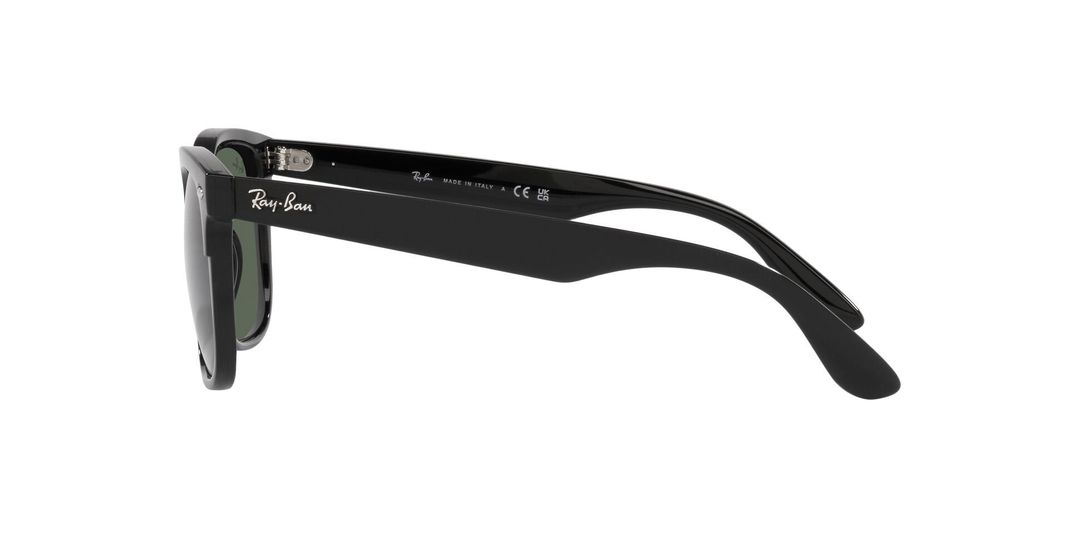 Ray-Ban Steve RB4487 -2