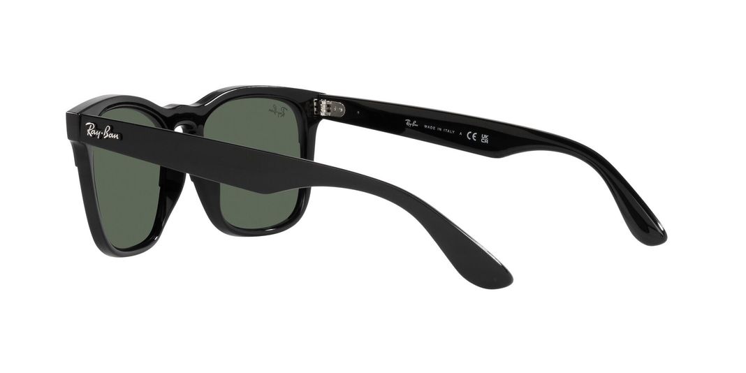 Ray-Ban Steve RB4487 -3
