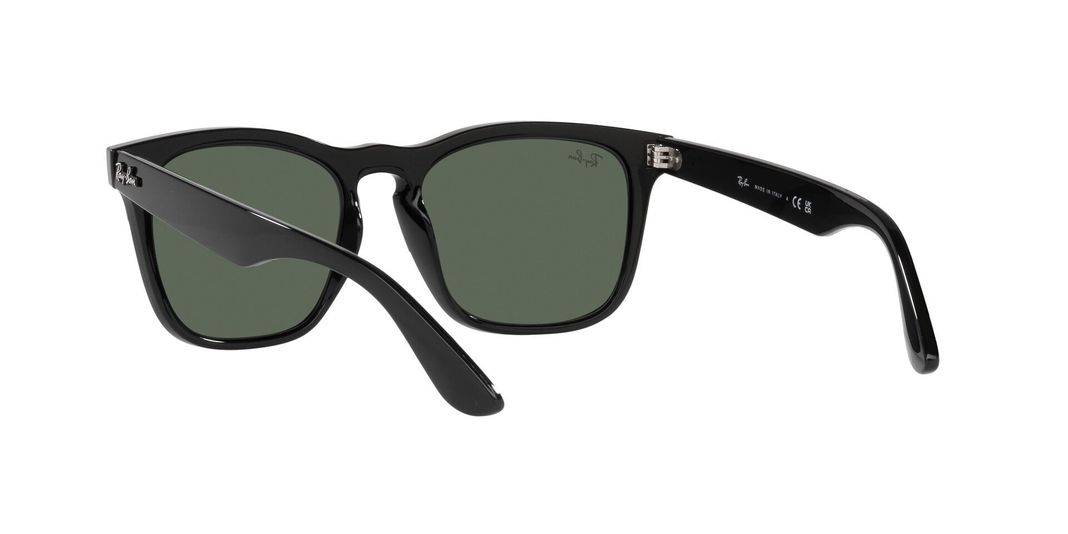 Ray-Ban Steve RB4487 -4