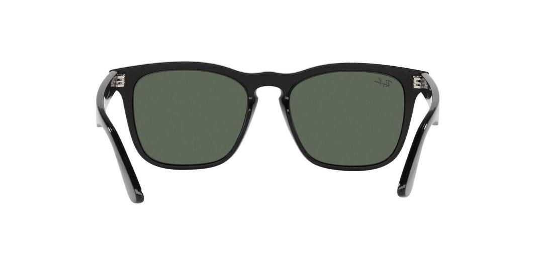 Ray-Ban Steve RB4487 -5