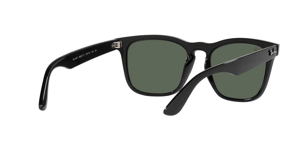 Ray-Ban Steve RB4487 -6
