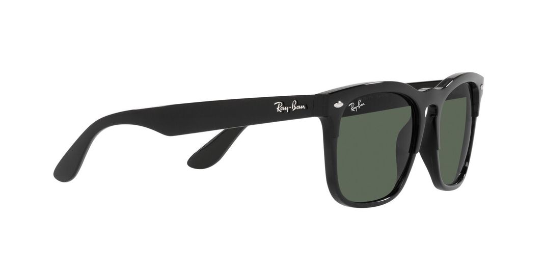 Ray-Ban Steve RB4487 -9