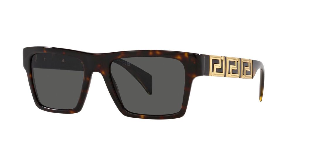 Versace VE4445 VE4445 108/87 54-0
