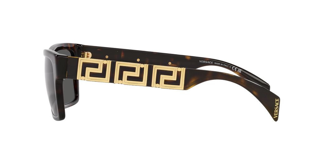 Versace VE4445 VE4445 108/87 54-2