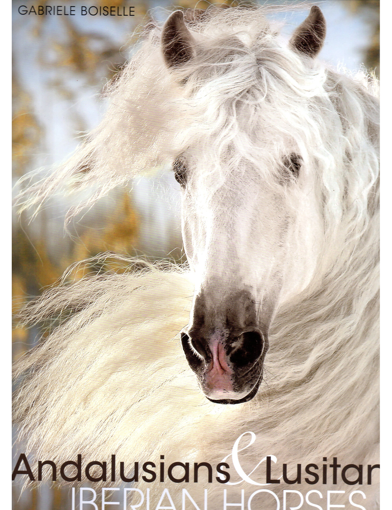 Andalusians & Lusitanos. Iberian Horses