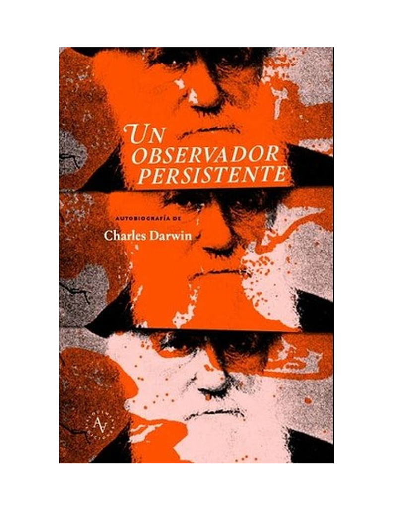 UN OBSERVADOR PERSISTENTE