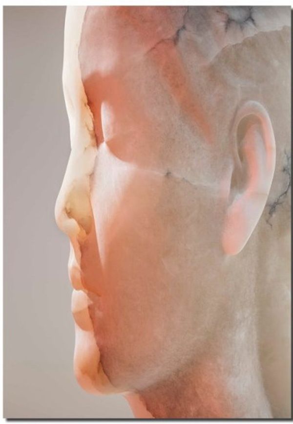 Jaume Plensa. Inner Matter Materia Interior