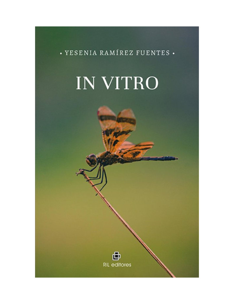 IN VITRO