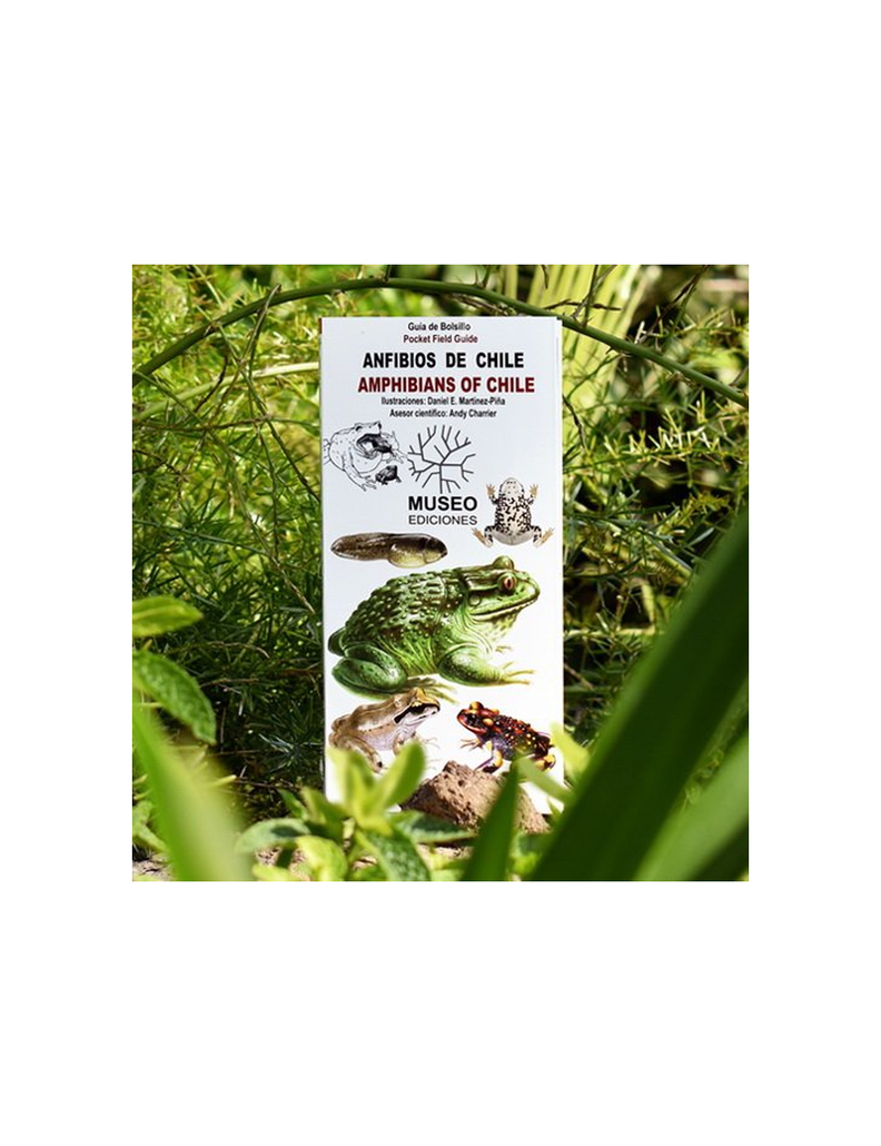 ANFIBIOS DE CHILE