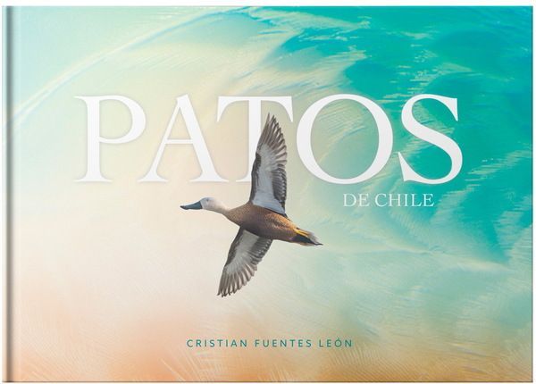 Patos De Chile