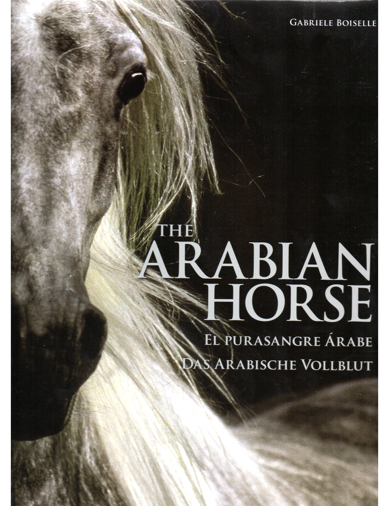 THE ARABIAN HORSE