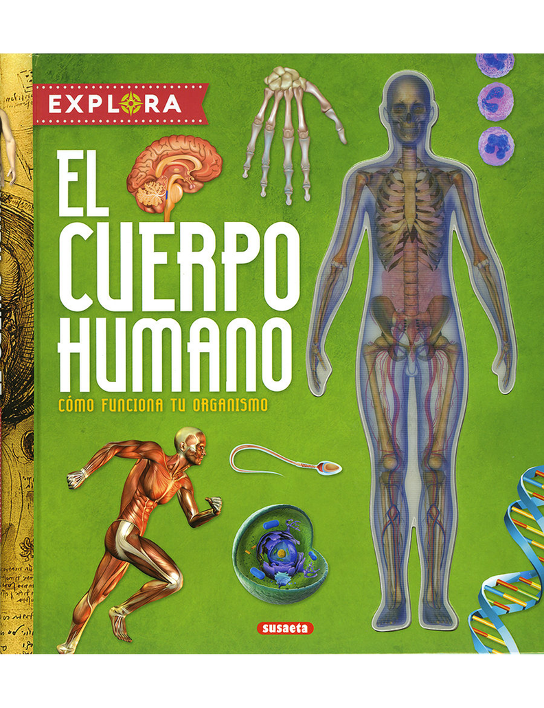 EXPLORA EL CUERPO HUMANO