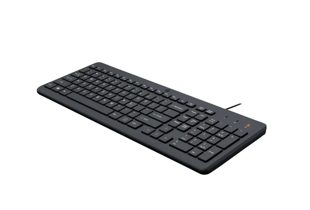 Teclado HP 150 con cable (664R5AA)-1