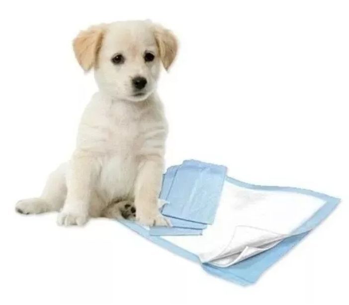 100 Pañales Sabanillas Perro Gato Mascotas 60x60 L Con Aroma-3