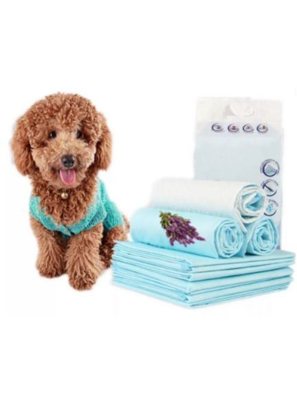 40 Pañales Sabanillas Grandes Mascotas 60x90cm Xl Con Aroma Y Adhesivo Por Su 4 Bordes Homer Design-0
