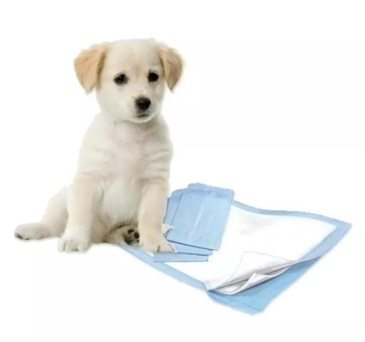 40 Pañales Sabanillas Grandes Mascotas 60x90cm Xl Con Aroma Y Adhesivo Por Su 4 Bordes Homer Design-2