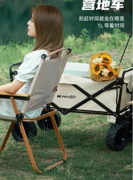 Carrito Para Compras Plegable Para Camping-6