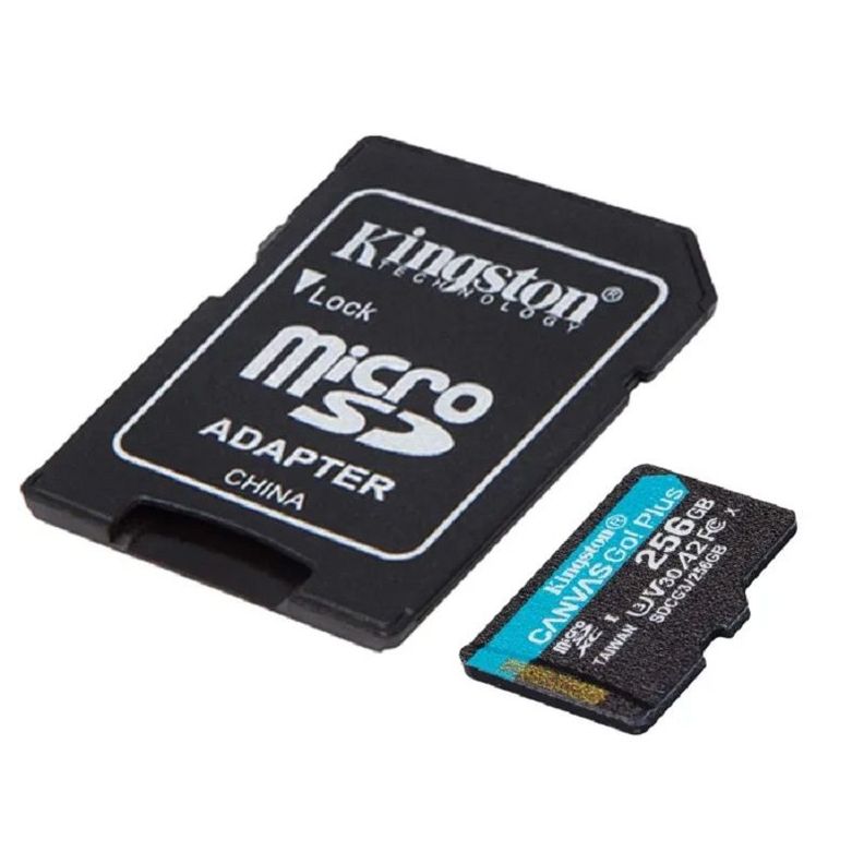 Memoria MicroSD Kingston Canvas Go Plus 256GB Lec170MBs Es70MBs-0