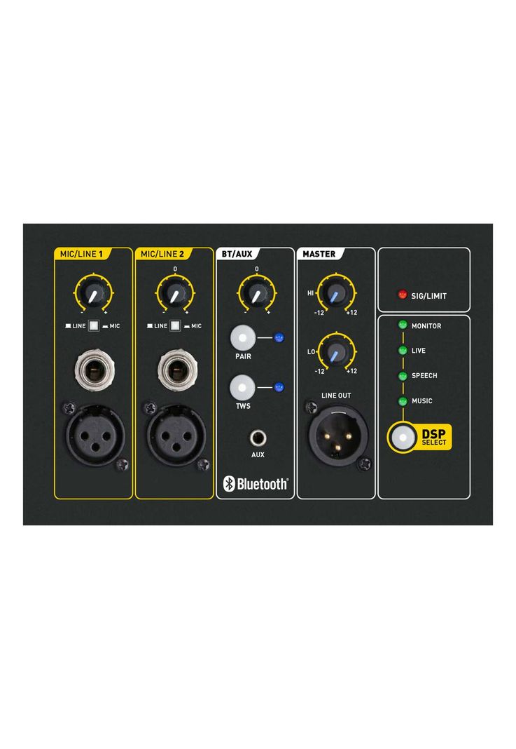 Parlante profesional activo SKP Q10 MK2-2