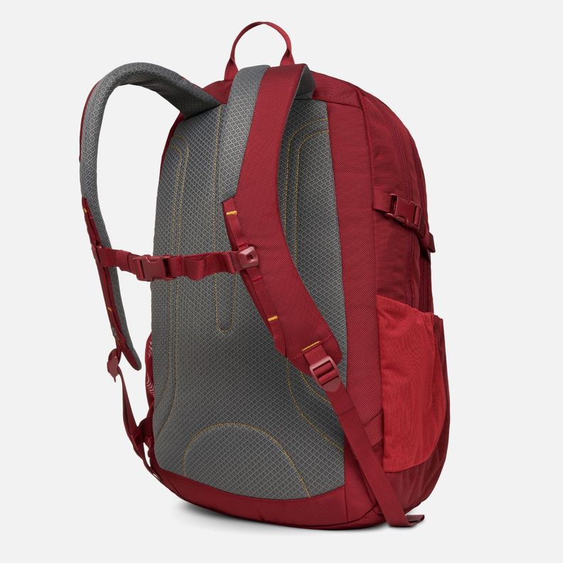 Mochila R-Bags 28L Daypack Burdeo Lippi-1