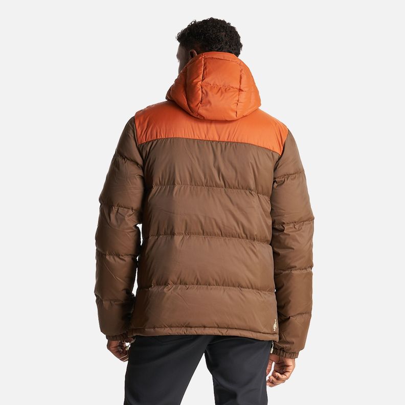 Chaqueta Hombre Campo Base Café/Terracota Haka  Honu-3