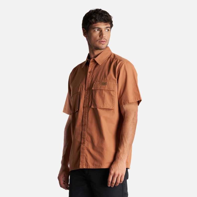 Camisa Hombre Safari Cafe Claro Haka Honu-2