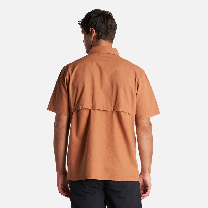 Camisa Hombre Safari Cafe Claro Haka Honu-3