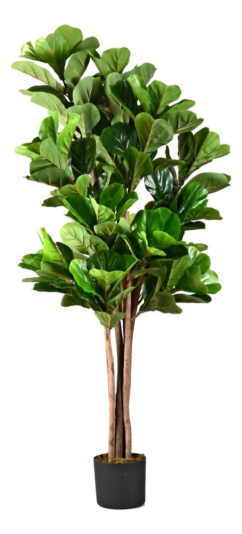 Planta Artificial Ficus Lyrata 150 Cm Premium / Arbusto Real-0