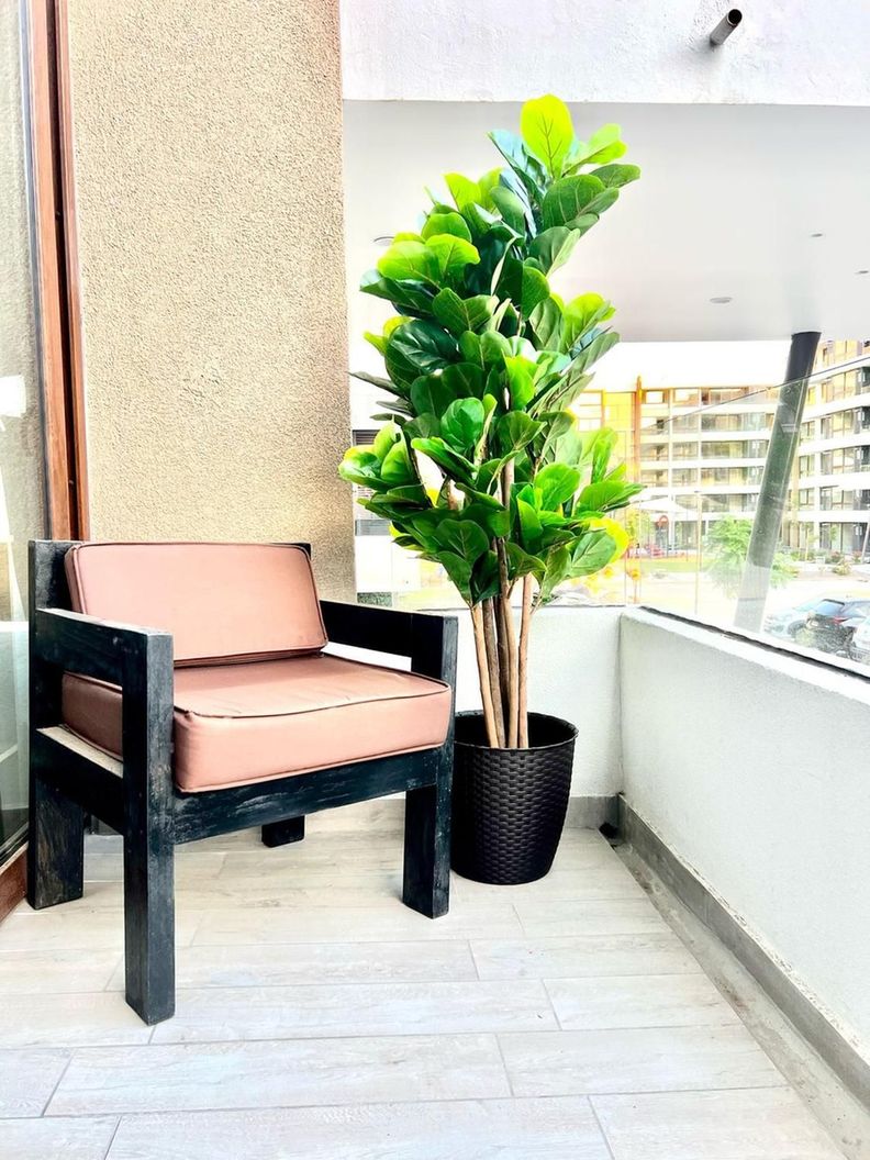 Planta Artificial Ficus Lyrata 150 Cm Premium / Arbusto Real-2