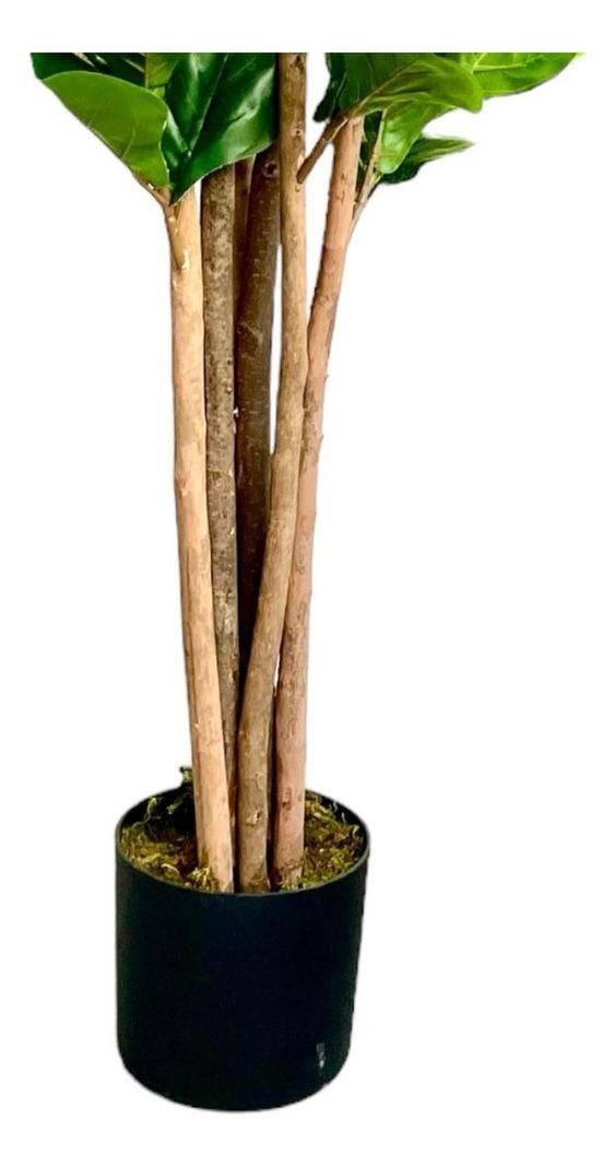 Planta Artificial Ficus Lyrata 150 Cm Premium / Arbusto Real-5
