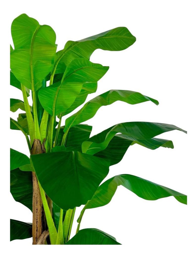 Planta Artificial Banano 230 Cm. Premium / Arbusto Real-2