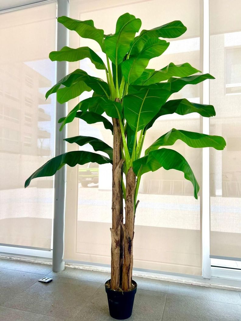 Planta Artificial Banano 230 Cm. Premium / Arbusto Real-0