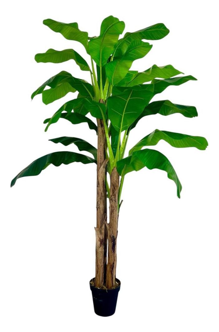 Planta Artificial Banano 230 Cm. Premium / Arbusto Real-1