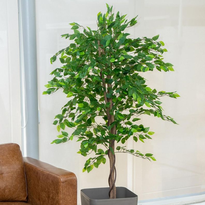 Planta Artificial Ficus Premium 180 Cm 1288 Hs/ Arbusto Real-0