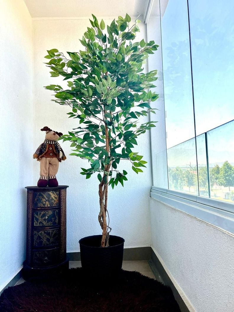 Planta Artificial Ficus Premium 180 Cm 1288 Hs/ Arbusto Real-4