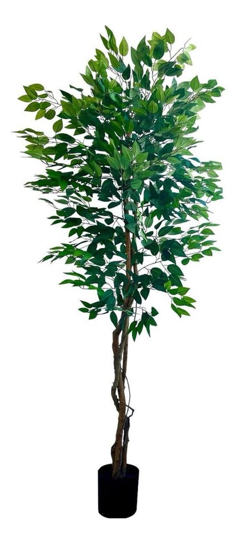 Planta Artificial Ficus Premium 180 Cm 1288 Hs/ Arbusto Real-5