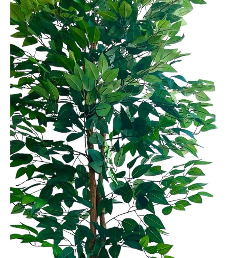 Planta Artificial Ficus Premium 180 Cm 1288 Hs/ Arbusto Real-6