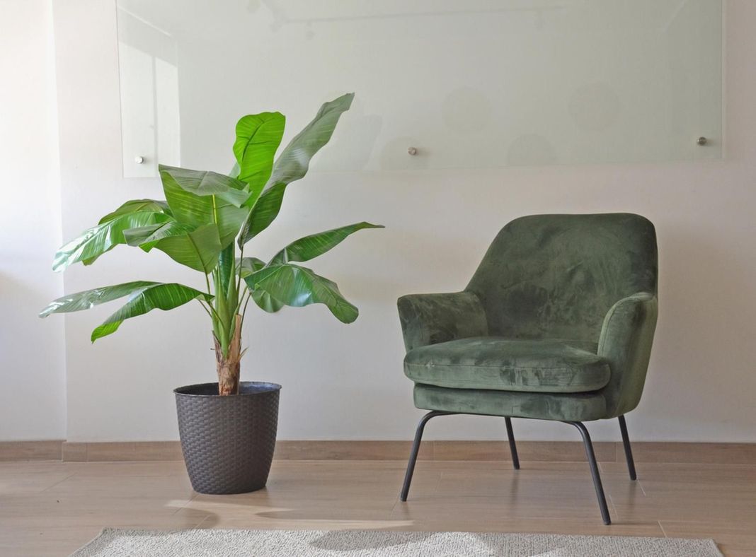 Planta Artificial Banano 120 Cm Luxury 12 Hjs / Arbusto Real-3
