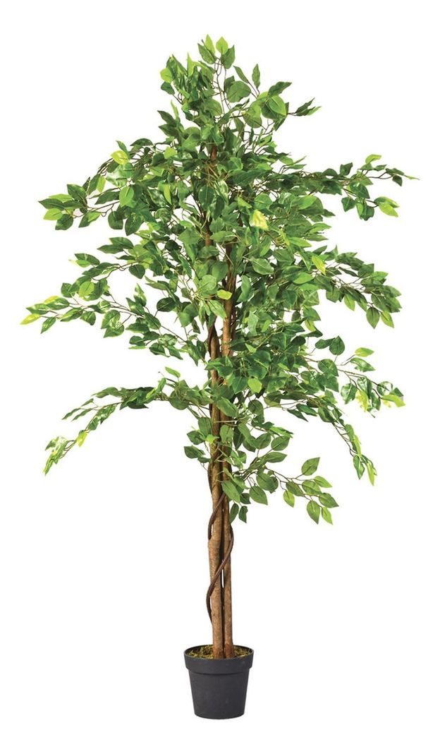 Planta Artificial Ficus 160 Cm. Premium 1008 Hojas-1