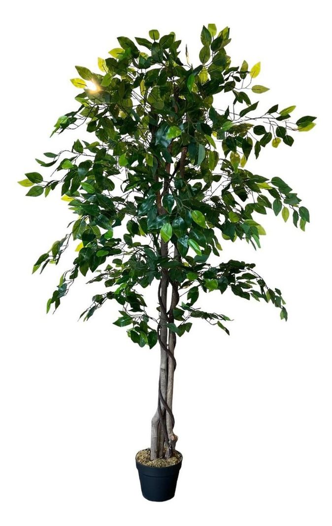 Planta Artificial Ficus 160 Cm. Premium 1008 Hojas-5