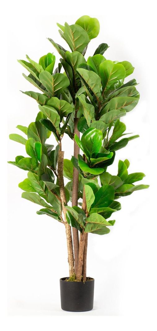 Planta Artificial Ficus Lyrata 120 Cm 134 Hjs / Arbusto Real-0