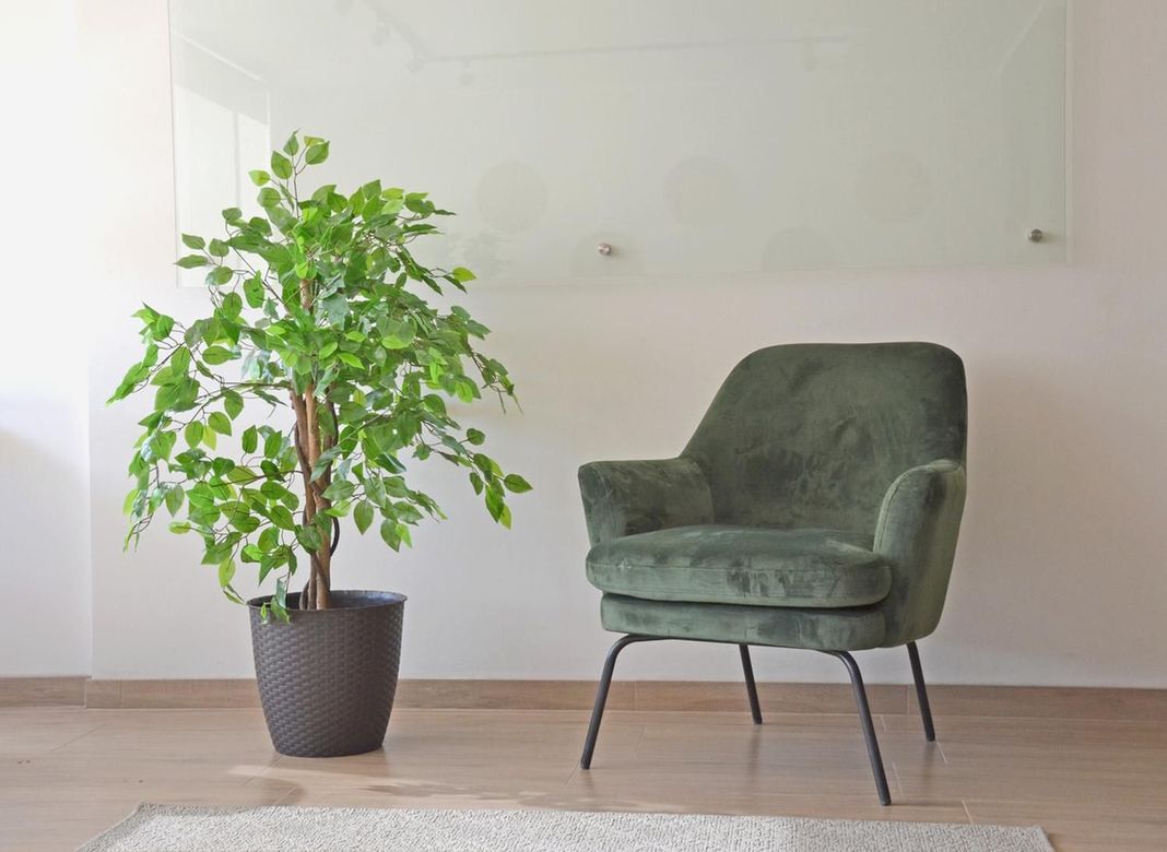 2 X 1 Plantas Artificiales Premium Ficus 120 Cm-5