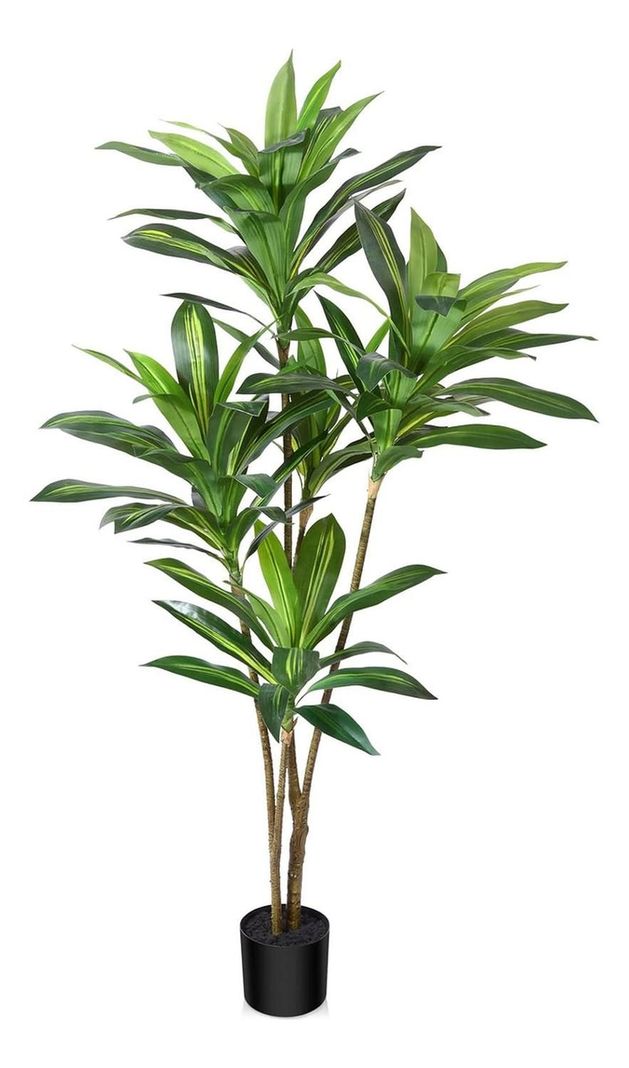 Planta Artificial Dracaena 165 Cm. Premium / Arbusto Real-0