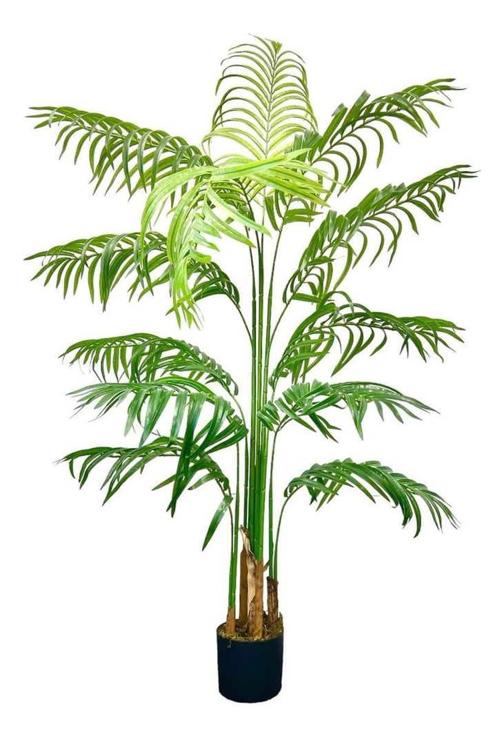 Planta Artificial Palmera 180 Cm. Premium 15 Hojas-0
