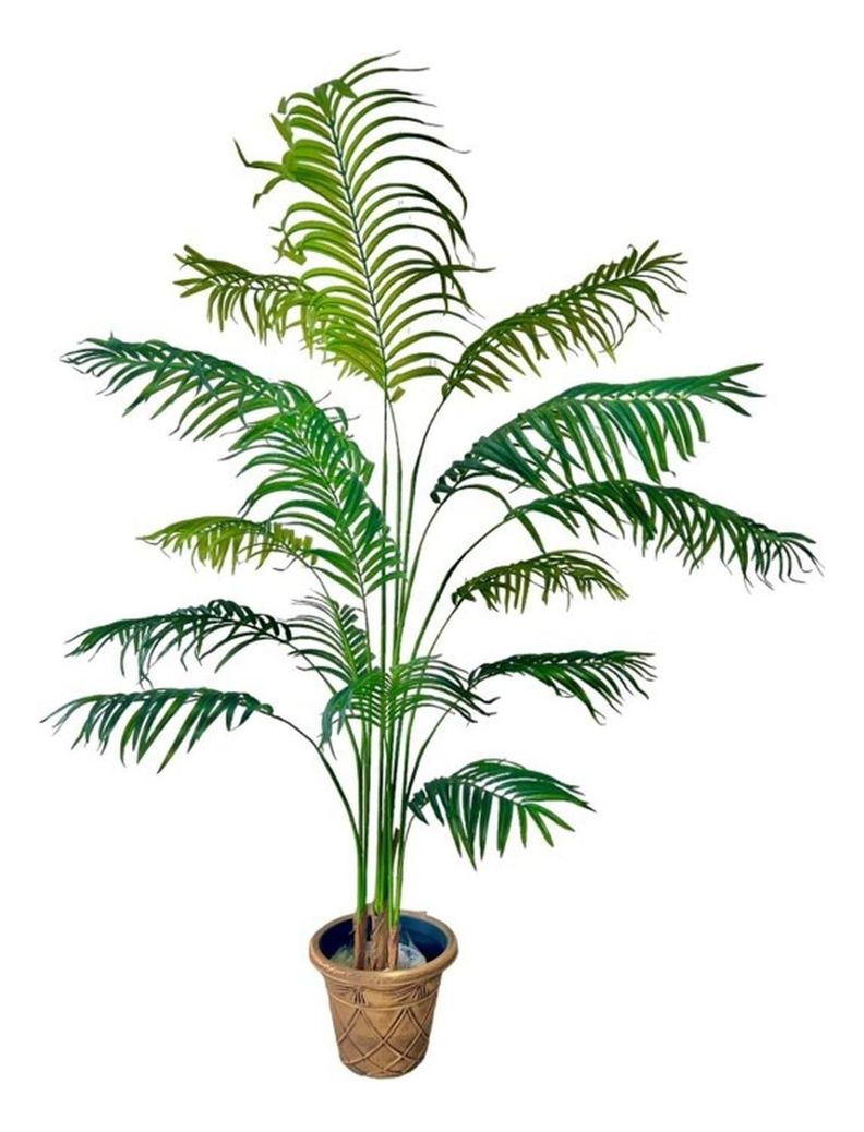 Planta Artificial Palmera 180 Cm. Premium 15 Hojas-5