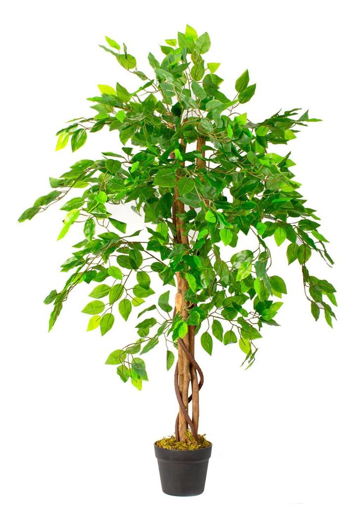 Planta Artificial Ficus Premium 120 Cm. / Arbusto Real-0